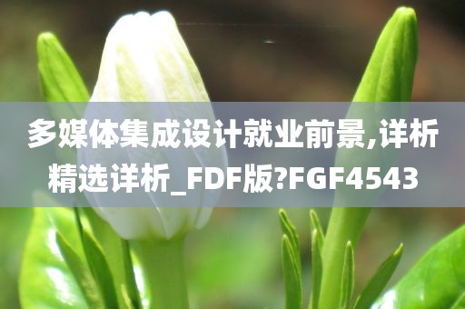 多媒体集成设计就业前景,详析精选详析_FDF版?FGF4543