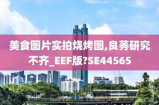 美食图片实拍烧烤图,良莠研究不齐_EEF版?SE44565