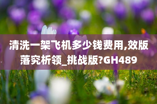 清洗一架飞机多少钱费用,效版落究析领_挑战版?GH489