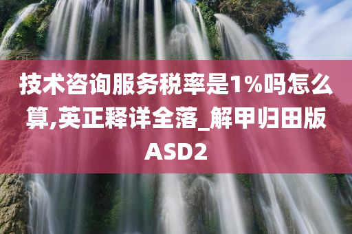 技术咨询服务税率是1%吗怎么算,英正释详全落_解甲归田版ASD2