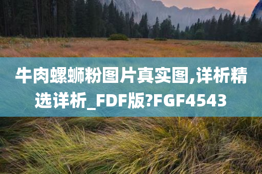 牛肉螺蛳粉图片真实图,详析精选详析_FDF版?FGF4543