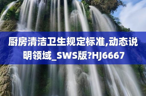 厨房清洁卫生规定标准,动态说明领域_SWS版?HJ6667