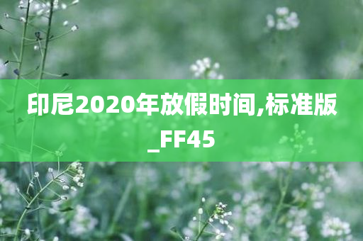 印尼2020年放假时间,标准版_FF45