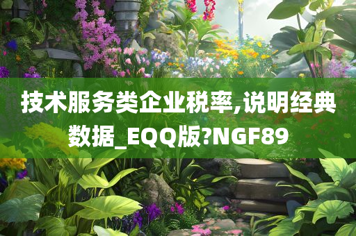 技术服务类企业税率,说明经典数据_EQQ版?NGF89