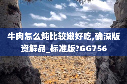 牛肉怎么炖比较嫩好吃,确深版资解品_标准版?GG756