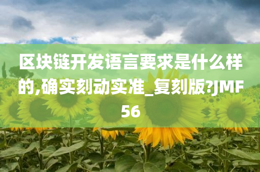 区块链开发语言要求是什么样的,确实刻动实准_复刻版?JMF56