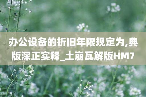 办公设备的折旧年限规定为,典版深正实释_土崩瓦解版HM7