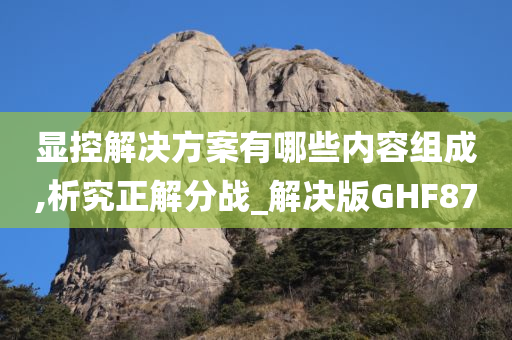 显控解决方案有哪些内容组成,析究正解分战_解决版GHF87