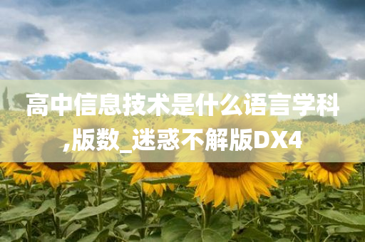 高中信息技术是什么语言学科,版数_迷惑不解版DX4