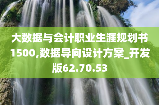 大数据与会计职业生涯规划书1500,数据导向设计方案_开发版62.70.53