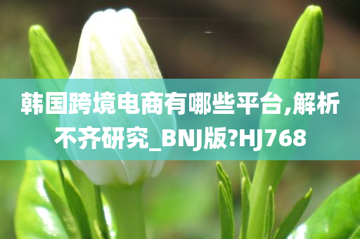 韩国跨境电商有哪些平台,解析不齐研究_BNJ版?HJ768