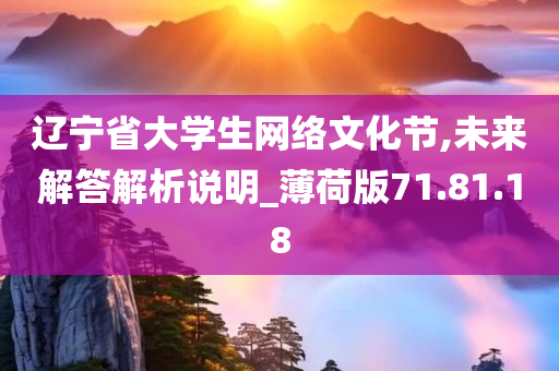 辽宁省大学生网络文化节,未来解答解析说明_薄荷版71.81.18