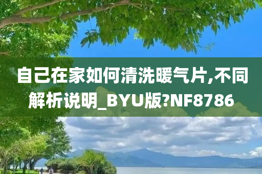 自己在家如何清洗暖气片,不同解析说明_BYU版?NF8786