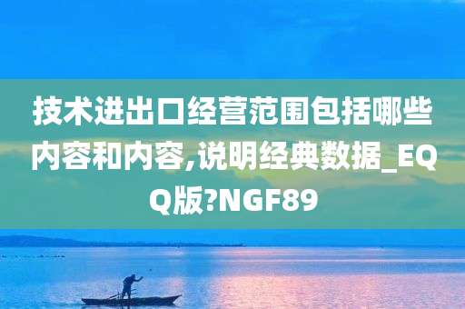 技术进出口经营范围包括哪些内容和内容,说明经典数据_EQQ版?NGF89