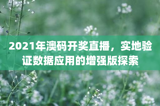 2021年澳码开奖直播，实地验证数据应用的增强版探索