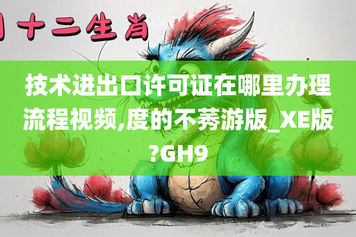 技术进出口许可证在哪里办理流程视频,度的不莠游版_XE版?GH9