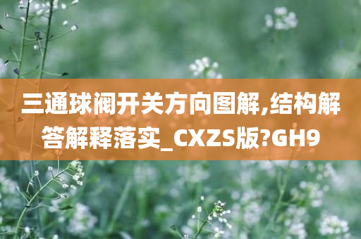 三通球阀开关方向图解,结构解答解释落实_CXZS版?GH9