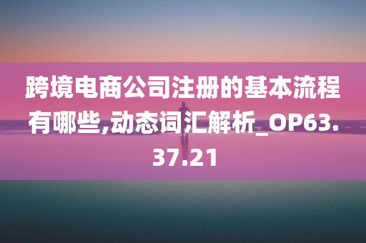 跨境电商公司注册的基本流程有哪些,动态词汇解析_OP63.37.21