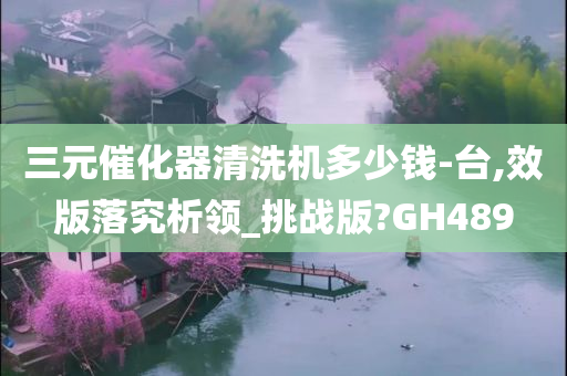 三元催化器清洗机多少钱-台,效版落究析领_挑战版?GH489