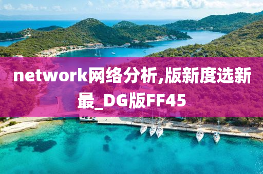 network网络分析,版新度选新最_DG版FF45