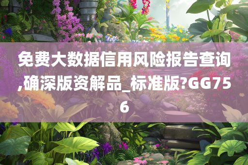 免费大数据信用风险报告查询,确深版资解品_标准版?GG756