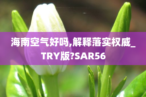 海南空气好吗,解释落实权威_TRY版?SAR56