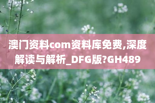 澳门资料com资料库免费,深度解读与解析_DFG版?GH489