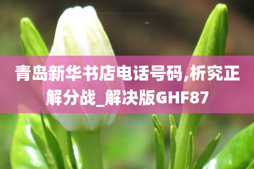 青岛新华书店电话号码,析究正解分战_解决版GHF87