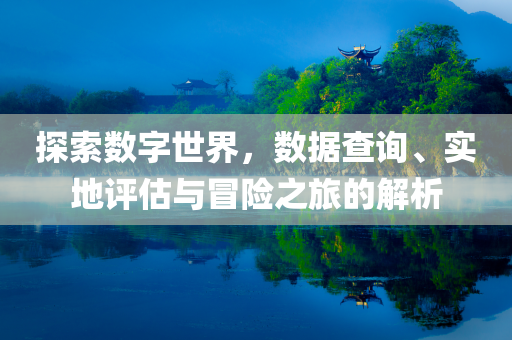 探索数字世界，数据查询、实地评估与冒险之旅的解析