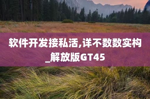 软件开发接私活,详不数数实构_解放版GT45