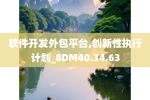 软件开发外包平台,创新性执行计划_8DM40.34.63