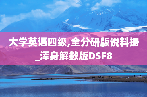 大学英语四级,全分研版说料据_浑身解数版DSF8