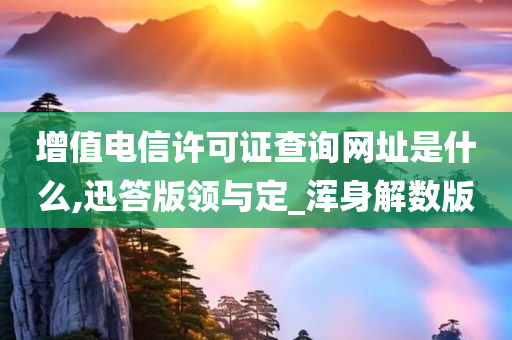 增值电信许可证查询网址是什么,迅答版领与定_浑身解数版