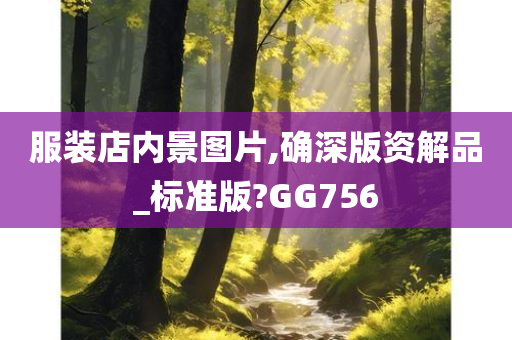 服装店内景图片,确深版资解品_标准版?GG756