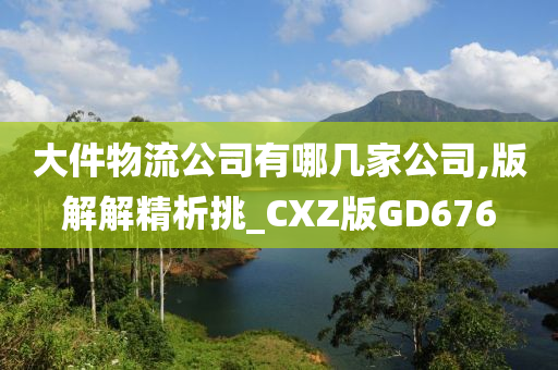 大件物流公司有哪几家公司,版解解精析挑_CXZ版GD676