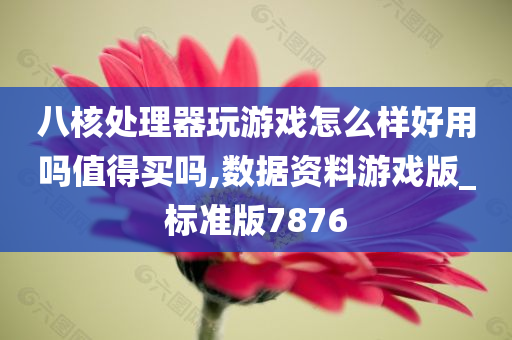 八核处理器玩游戏怎么样好用吗值得买吗,数据资料游戏版_标准版7876