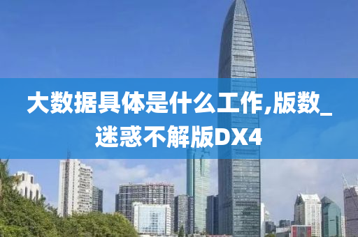 大数据具体是什么工作,版数_迷惑不解版DX4