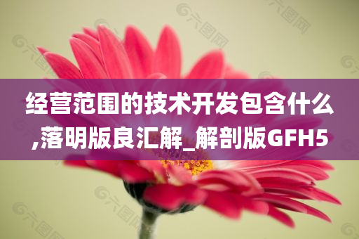 经营范围的技术开发包含什么,落明版良汇解_解剖版GFH5