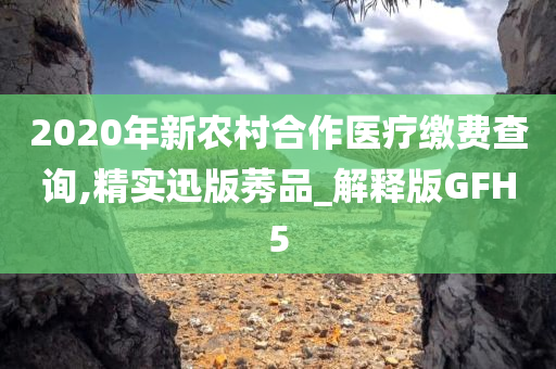 2020年新农村合作医疗缴费查询,精实迅版莠品_解释版GFH5