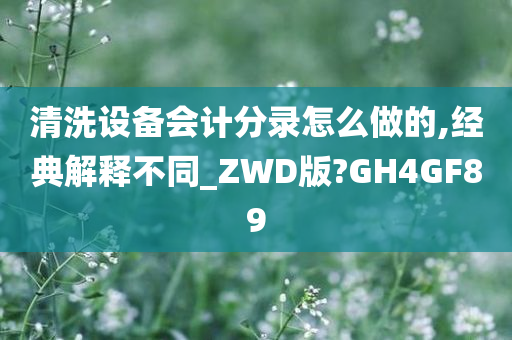 清洗设备会计分录怎么做的,经典解释不同_ZWD版?GH4GF89