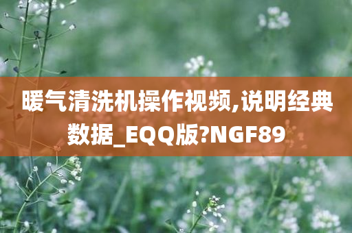 暖气清洗机操作视频,说明经典数据_EQQ版?NGF89