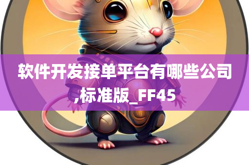 软件开发接单平台有哪些公司,标准版_FF45