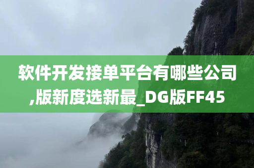 软件开发接单平台有哪些公司,版新度选新最_DG版FF45