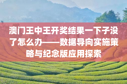 澳门王中王开奖结果一下子没了怎么办——数据导向实施策略与纪念版应用探索