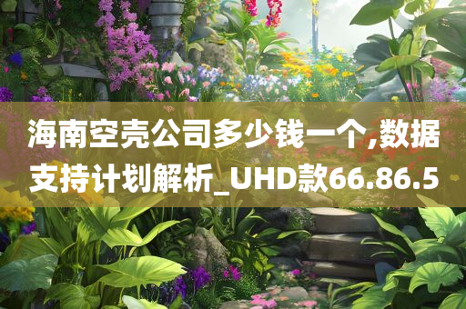 海南空壳公司多少钱一个,数据支持计划解析_UHD款66.86.50