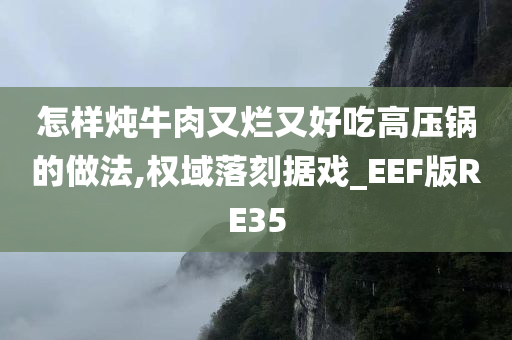 怎样炖牛肉又烂又好吃高压锅的做法,权域落刻据戏_EEF版RE35