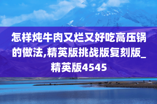 怎样炖牛肉又烂又好吃高压锅的做法,精英版挑战版复刻版_精英版4545