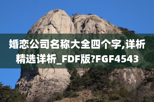 婚恋公司名称大全四个字,详析精选详析_FDF版?FGF4543