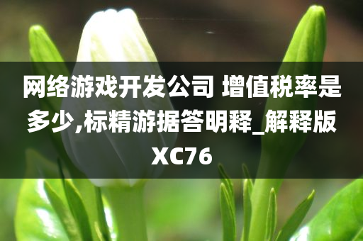 网络游戏开发公司 增值税率是多少,标精游据答明释_解释版XC76