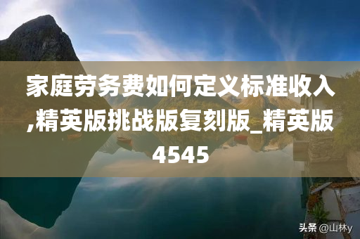 家庭劳务费如何定义标准收入,精英版挑战版复刻版_精英版4545